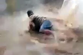 Videos WhatsApp: Gato Ladrão de Cigarro