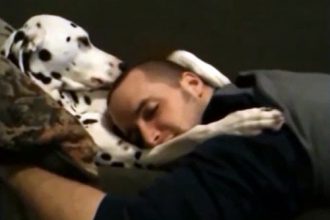 Baixar video Cachorro põe dono pra dormir