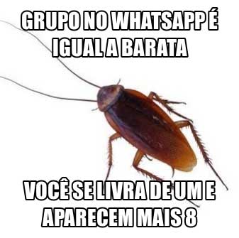 Imagens para Grupos #2002