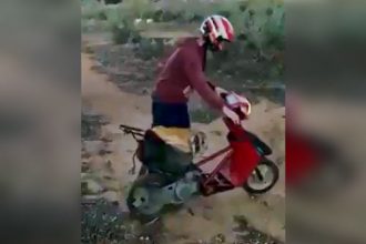 Baixar video Um idiota, uma rampa e uma scooter