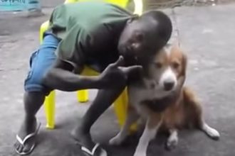 Videos WhatsApp: Acaba com essa Praga de Vap Vap
