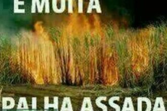 Baixar imagem É Muita Palha Assada