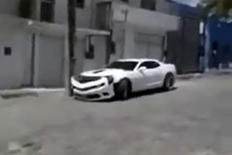Videos WhatsApp: Um Jumento e um Camaro