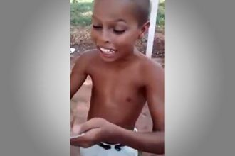 Videos WhatsApp: Sou Um Gordinho Gostoso