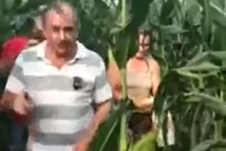 Zueira: Bebida e volante não combinam