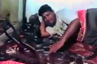 Animais: Dormindo com as Cobras
