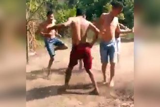 Videos Engraçados: Animais VS Espelhos