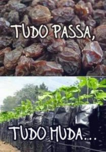 Tudo Passa, Tudo Muda - imagens engraçadas Whatsapp