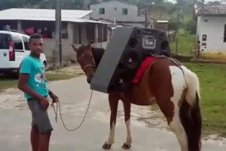 Baixar video Cavalo Com Som