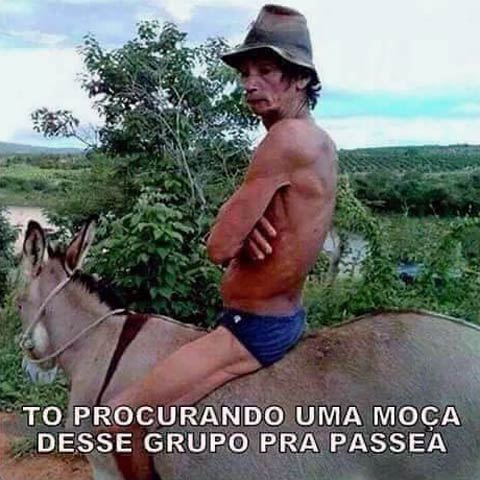 Imagens para Grupos #4544