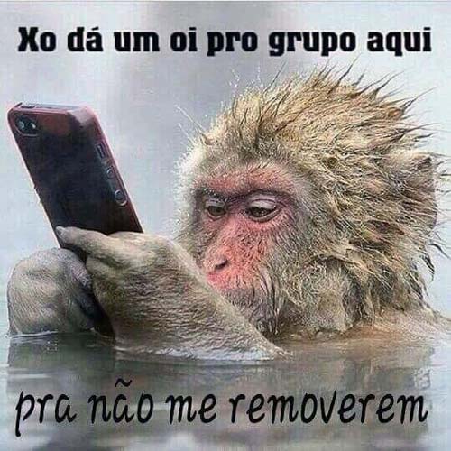 Imagens para Grupos #8862