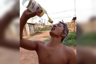 Videos Engraçados: Lá em casa tinha um pintinho