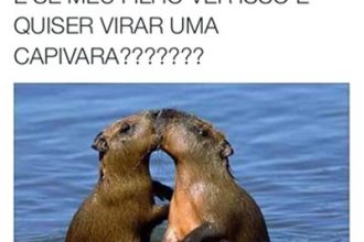 Baixar imagem Virando uma Capivara