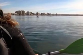 Videos Emocionantes: Pai e filha levantados por baleia