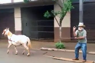 Baixar video Wakeboard com cavalo