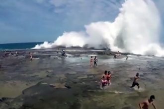 Baixar video Olha a onda