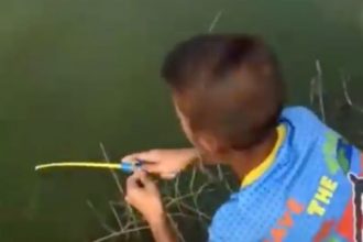 Videos: Pescando com vara de brinquedo