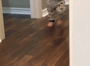 Baixar imagem Quando tem gente na sala