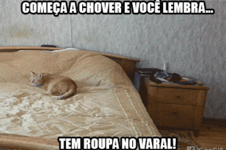 Baixar imagem Tem roupa no varal