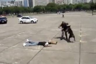 Baixar video Cachorro ataca policial por engano