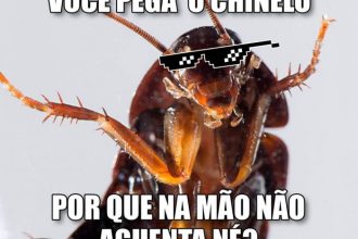 Baixar imagem Pega o chinelo, né?