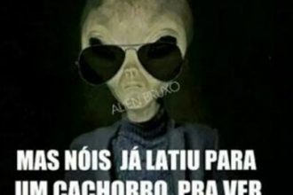 Baixar imagem Nóis parece normal mas