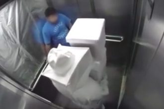 Baixar video Abelha Assassina no Elevador