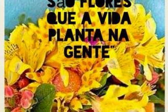 Baixar imagem Amigos são como flores