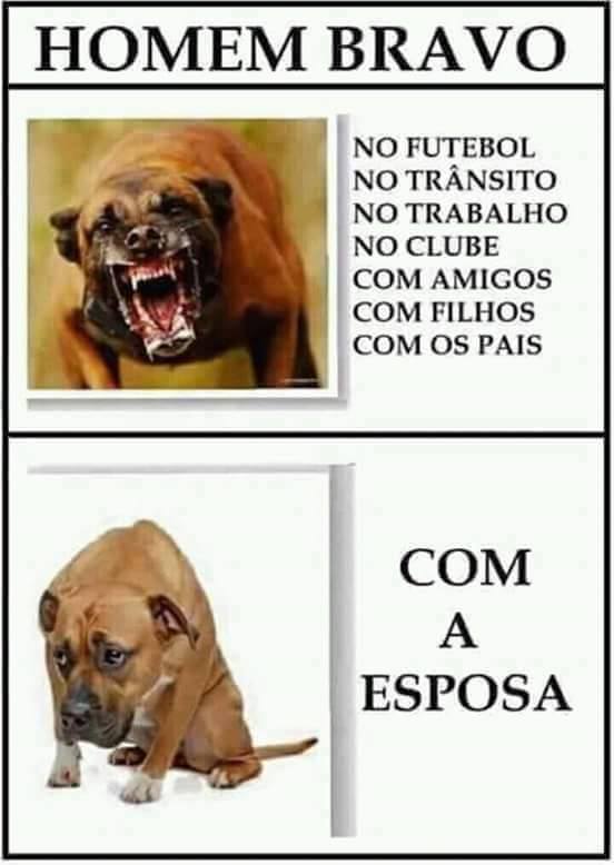 70 Memes Engraçados para Whatsapp com Imagens e Frases