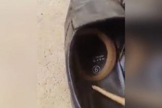 Baixar video Cuidado ao calçar sapato
