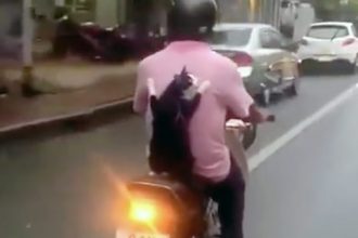 Baixar video Gato pegando carona de moto