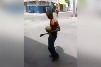 Videos Engraçados: Buzina da zueira