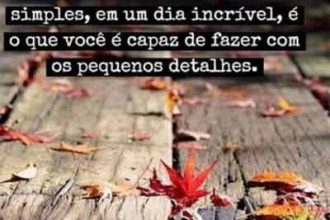 Frases #9640
