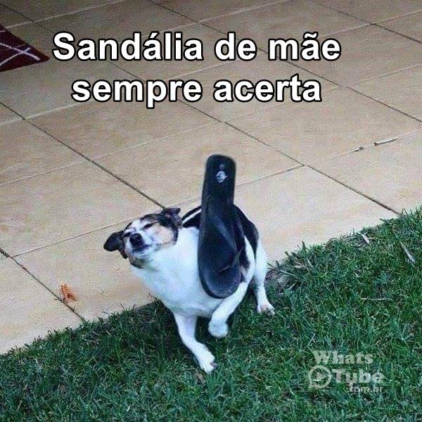 sandalia-de-mae-sempre-acerta