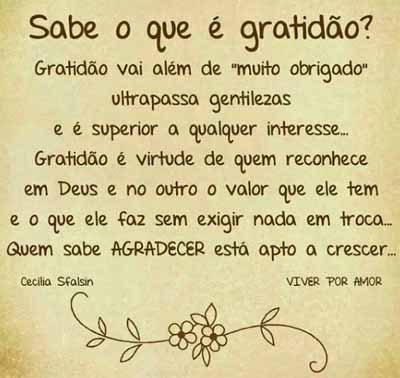 Gratidão vai além de agradecer - Frases e Mensagens