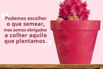 Frases #10282