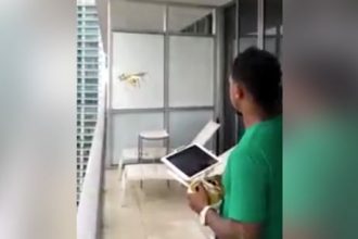 Baixar video Como perder um drone