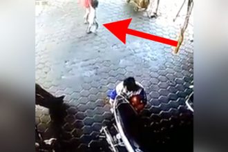 Videos: Ladrão de jet ski roubando na rua