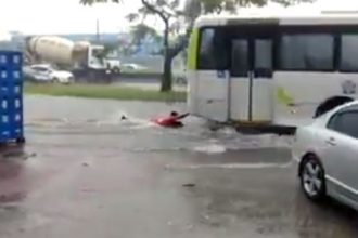 Zueira: Pegando carona com o cachorro