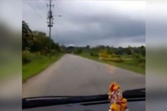 Baixar video Susto na Estrada