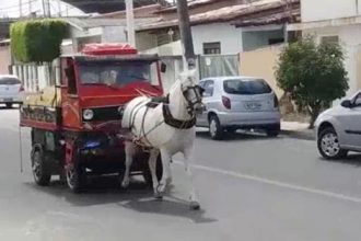 Baixar video Caminhão sem motor