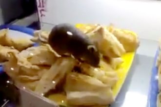 Vídeos Bizarros: Salgado com ratão na lanchonete