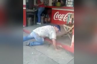 Videos WhatsApp: Cobra dentro da moto