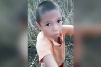 Videos WhatsApp: Cobra dentro da moto