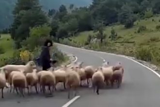 Video Cacetadas: Pegando no peixe elétrico