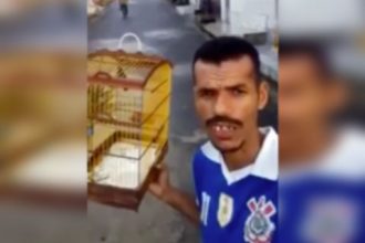 Videos WhatsApp: O papa capim não cantou