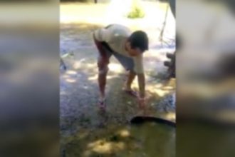 Baixar video Pegando no peixe elétrico