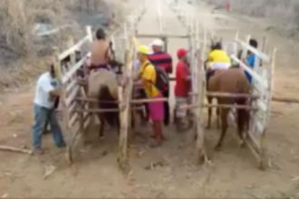 Baixar video Velozes e Furiosos Nordeste