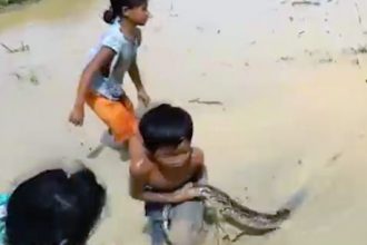 Videos: Se beber não ande de bicicleta