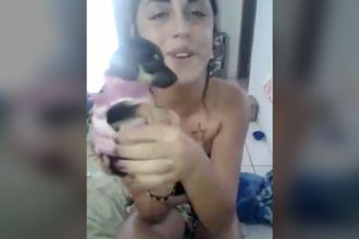 Videos Engraçados: Apanhando do Macaco Folgado